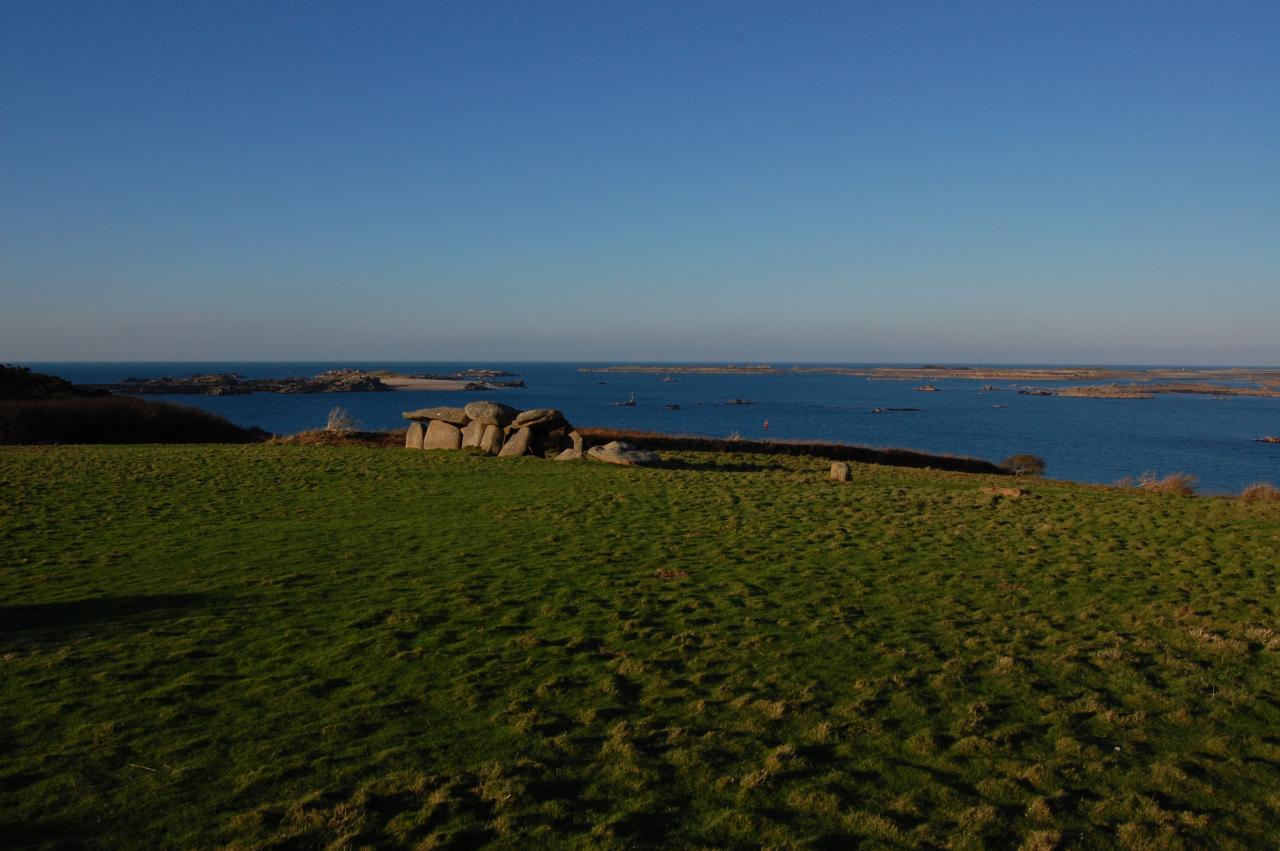 Dolmen sur l'île Miliau