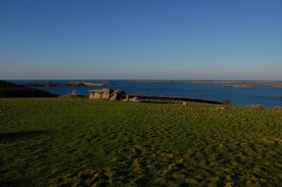 dolmen-sur-l-ile-miliau.jpg